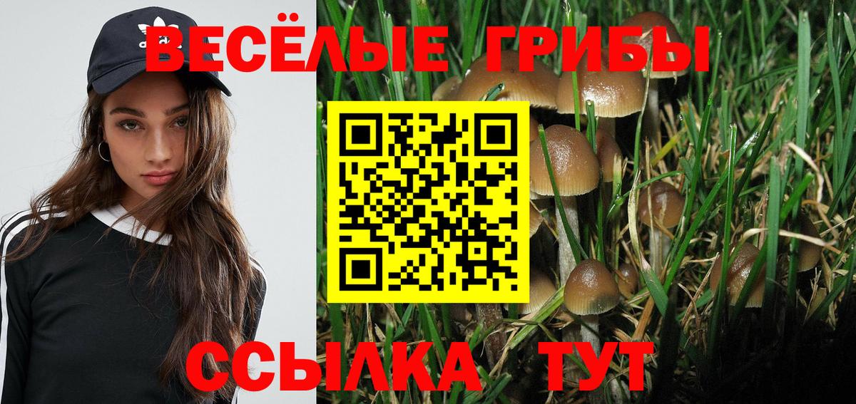 Псилоцибиновые грибы ЛСД Строитель